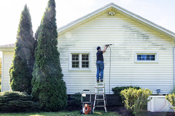 Best Rust Removal  in Groveland, FL